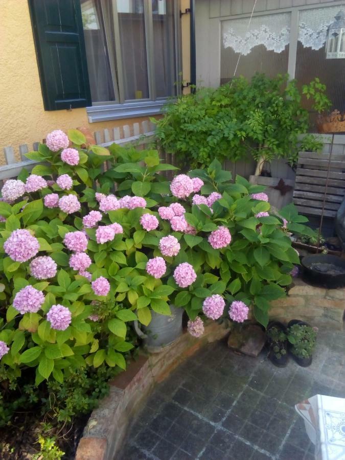 Omas Schmuckkaestle Villa Lauingen Ngoại thất bức ảnh