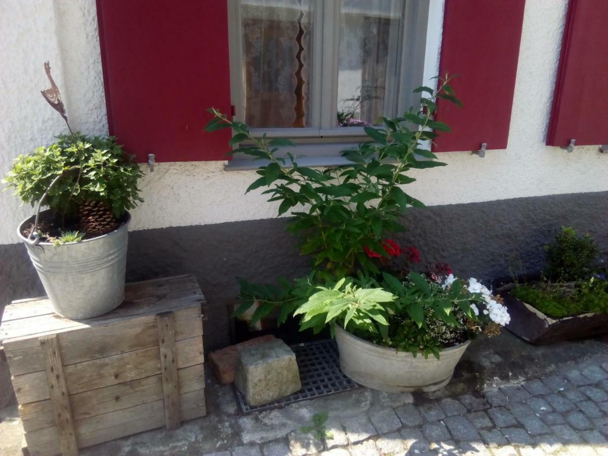 Omas Schmuckkaestle Villa Lauingen Ngoại thất bức ảnh